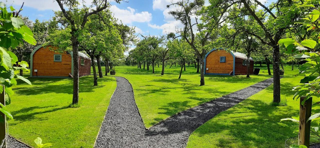 Orchard Farm Luxury Glamping And Campsite Glastonbury Exterior foto